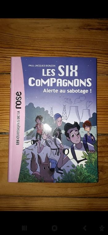 Les 6 compagnons