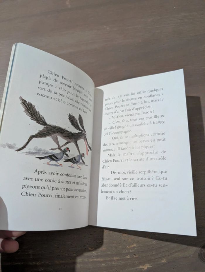 Chien pourri - photo numéro 7