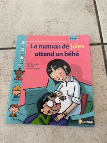 Livre la maman de Jules attend un bébé