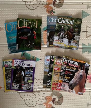 Lot 11 revues équitation