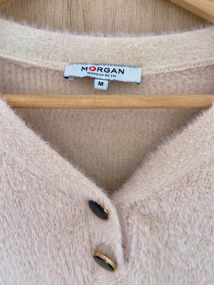 Pull Morgan - photo numéro 7