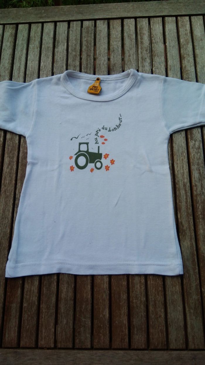 Tshirt manches courtes - photo numéro 2