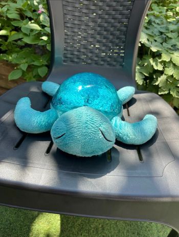 Veilleuse tortue cloud b