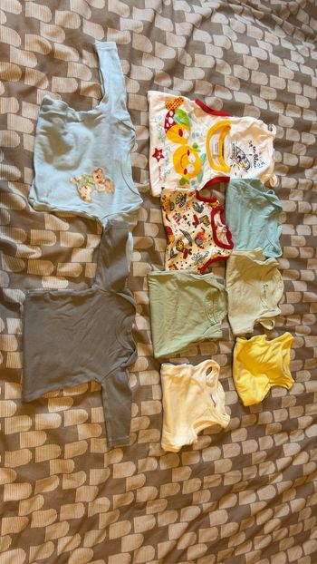 Lot bodies