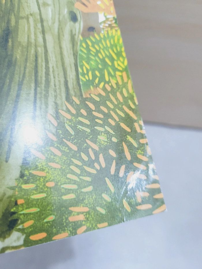 🌺 Livre (école des loisirs) : Le grand ménage - photo numéro 9