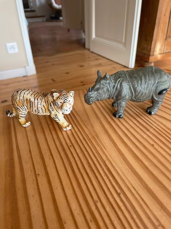 Tigre et rhinocéros