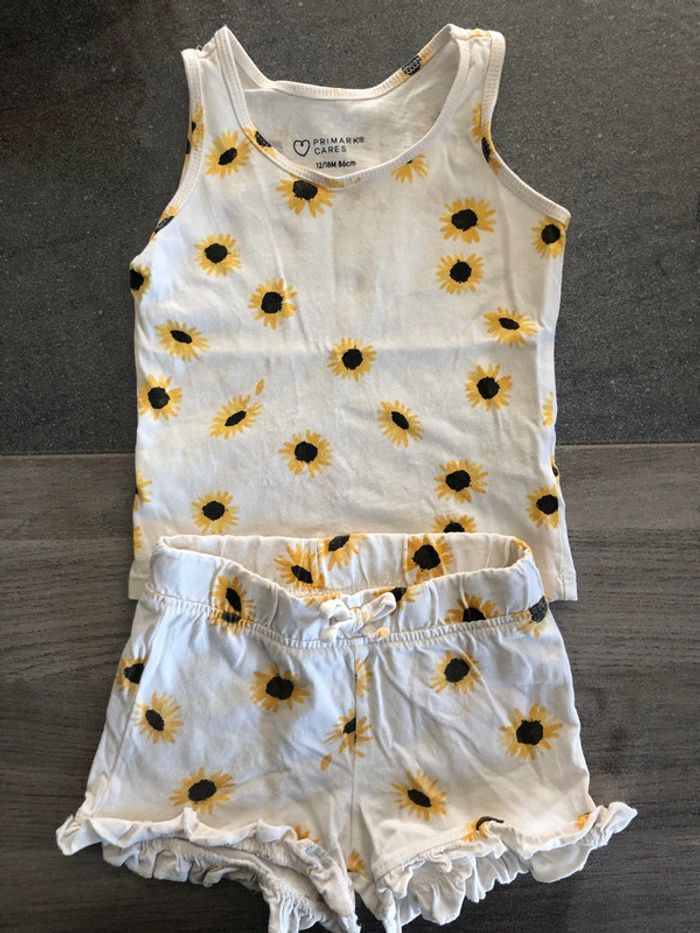 Ensemble tournesol