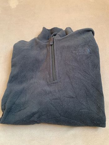 Polaire the north face