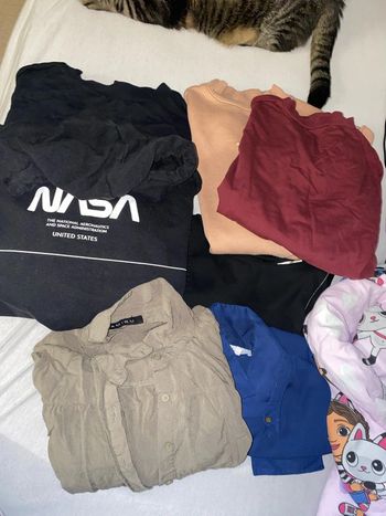 Lot vêtement femme