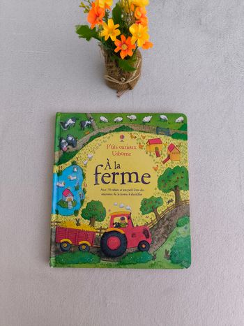 Livre À la ferme Usborne