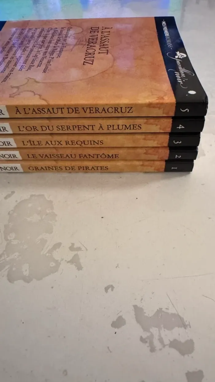 📚 Lot complet – Collection Les Frères Faucons 5 tomes – Alain Surget / Annette Marnat - photo numéro 4