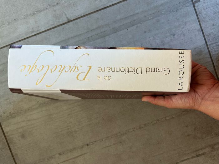 Grand dictionnaire de la psychologie - photo numéro 5