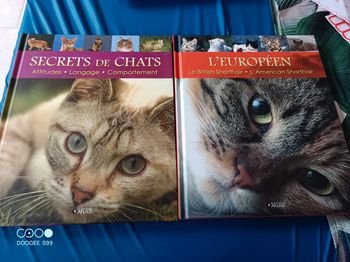 Lot de 2 livres sur les chats