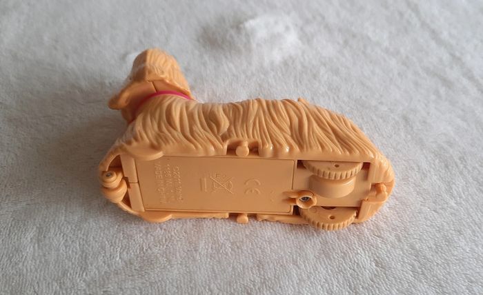 Petit chien qui roule - photo numéro 2