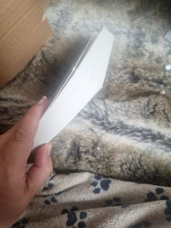 Livre palemon édition - photo numéro 2