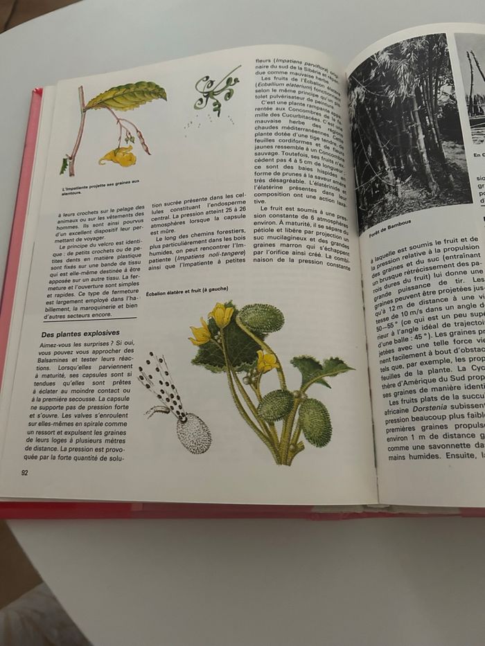 Livre merveilles du monde végétal - photo numéro 3