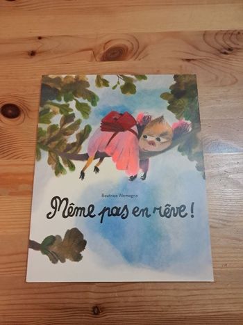 Même pas en rêve !