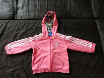 Veste adidas 9 mois fille