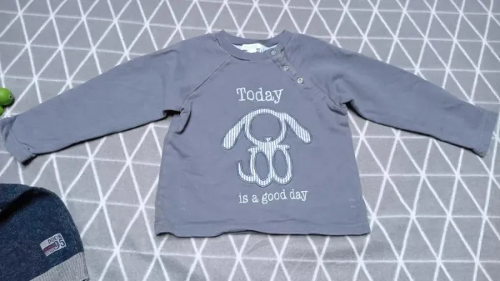 🦁 lot 1 pull et 1 sweat, 3 ans - photo numéro 2