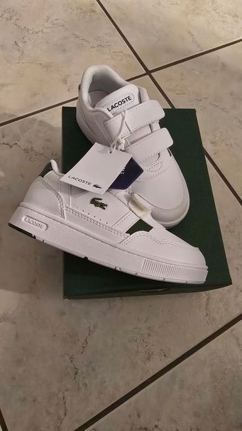 (NEUVES non portées)🏷🤩🥰😍 superbes baskets lacoste pointure 27 garçon 🤩🥰😍