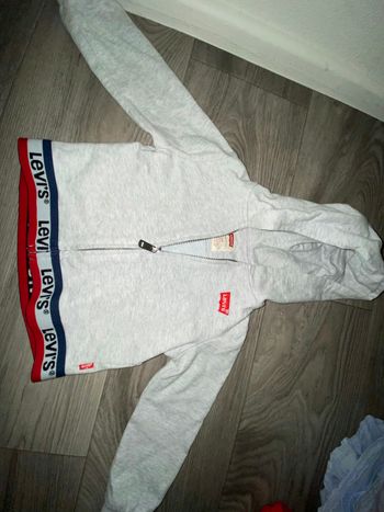 Veste Lévis