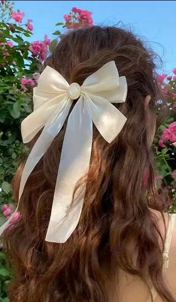 Barette/ clips cheveux avec Nœud