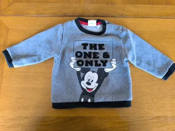 312775 pull gris garçon 9 mois disney