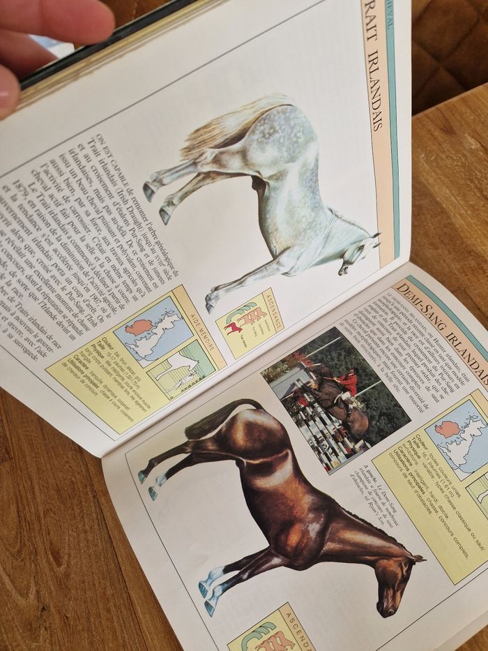 Le cheval - photo numéro 3