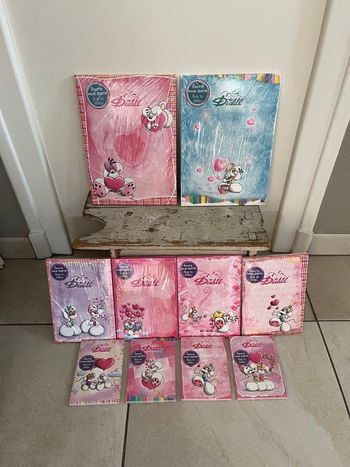 10 blocs Diddl cœur collection 2026