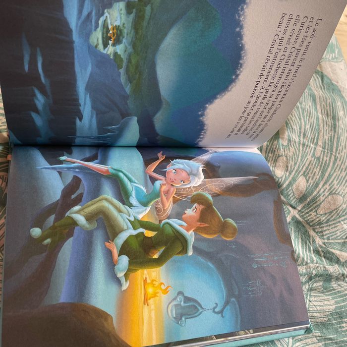 Livre Disney - photo numéro 3
