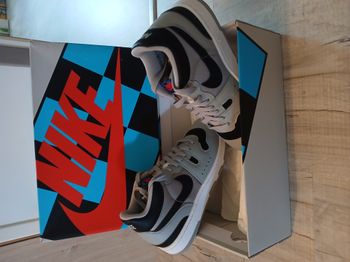 Basquettes nike