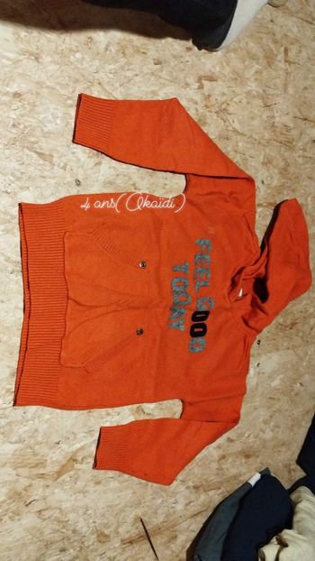 Pull à capuche garçon 4 ans