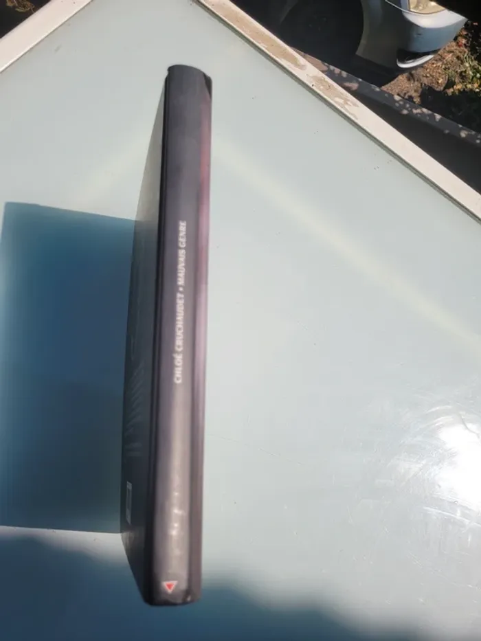 Très belle BD : Mauvais Genre, Chloé Cruchodet - photo numéro 8