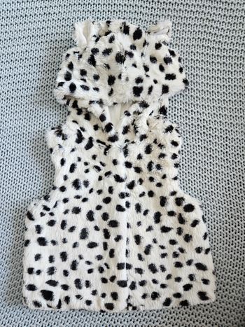 Gilet Dalmatien