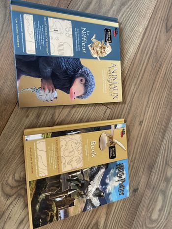 Lot 2 livres kit bois Les animaux fantastiques