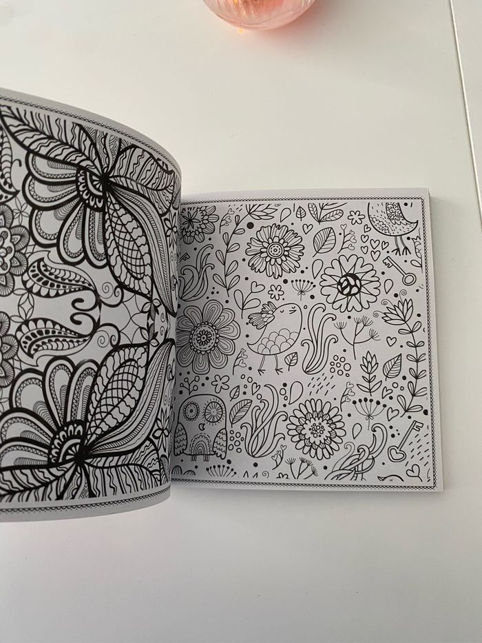 Livre de coloriages pour adultes - photo numéro 5