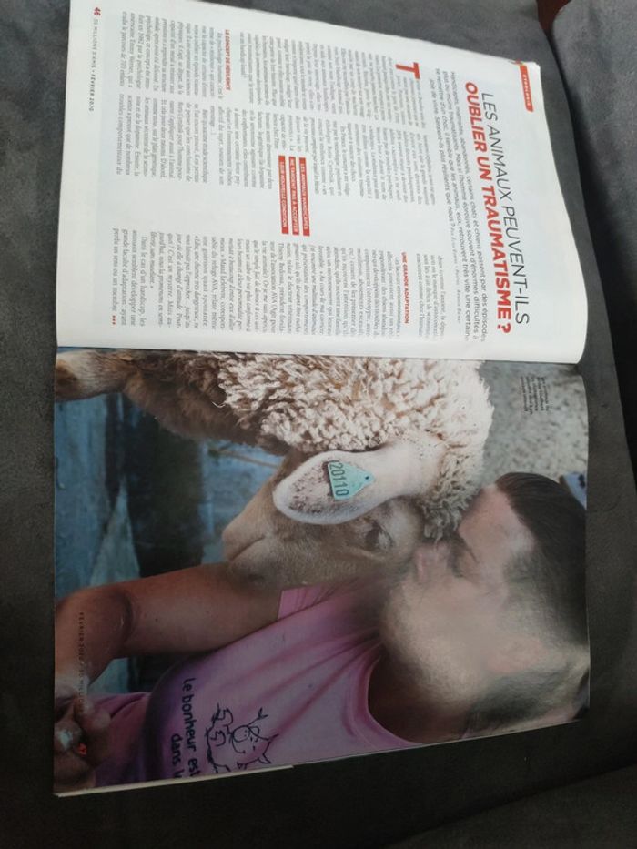 Magazine 30 millions d'amis numéro 381 février 2020 - photo numéro 10