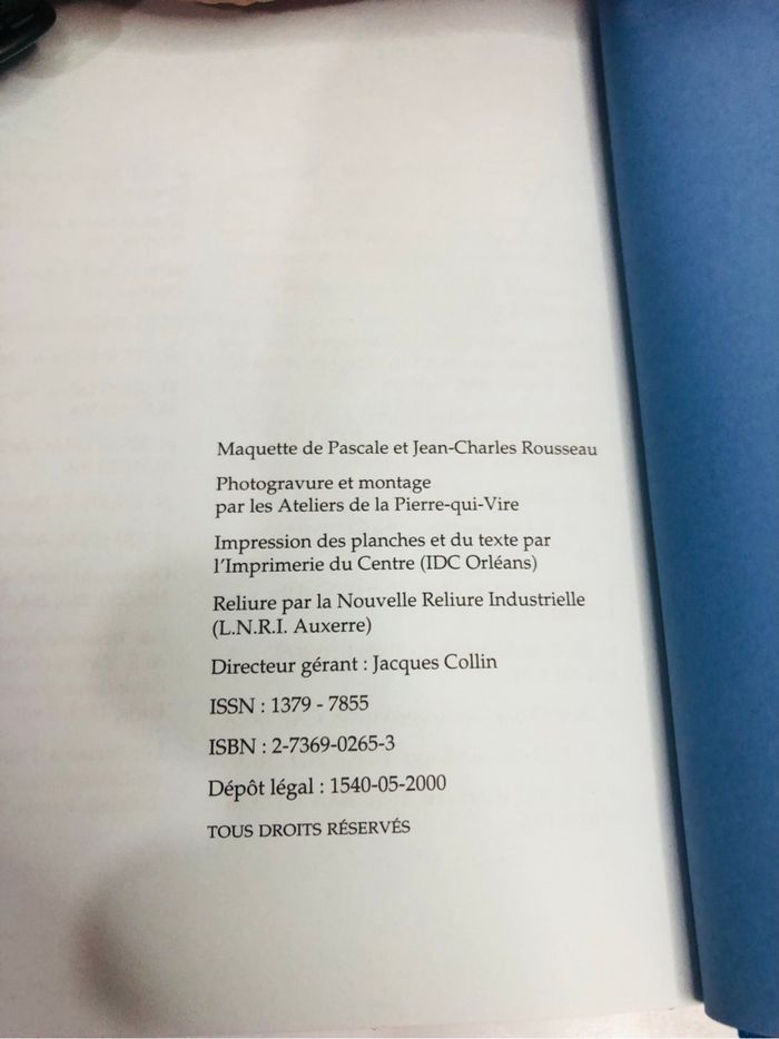 Patrick Demouy Reims : la cathédrale - photo numéro 9