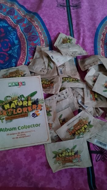 Album collector Nature explorers Les animaux du monde