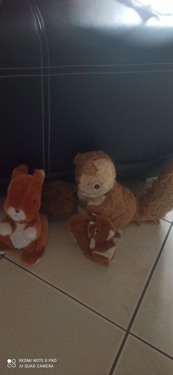 Peluches  écureuils