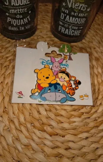 Pins "winnie l'ourson et ses amis"