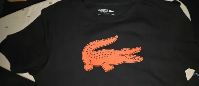 Tee shirt lacoste - photo numéro 5