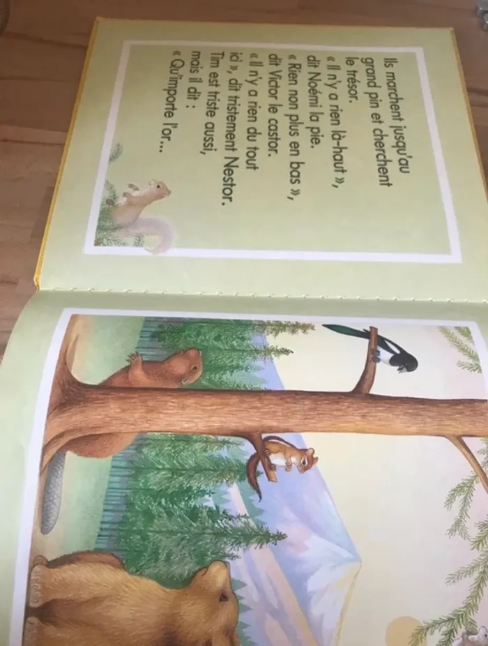 livre  le trésor de l’ours tim - photo numéro 5