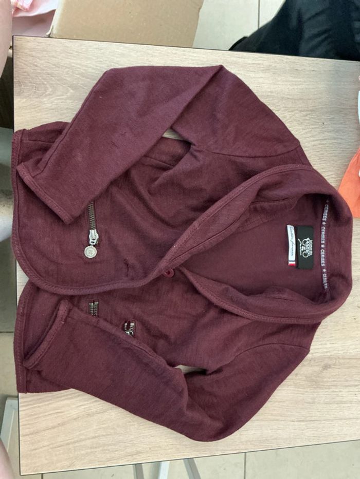 Blazer le temps des cerises