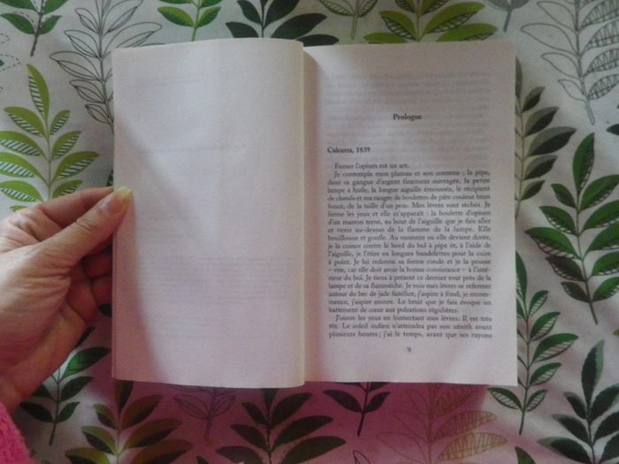 L'Oiseau du Cachemire de Linda Holeman Ed. France Loisirs couv souple - photo numéro 4