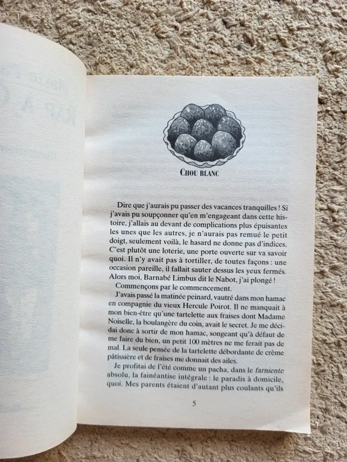 Roman jeunesse "Rap à Cambridge" de Marie Pascale Huglo - photo numéro 6