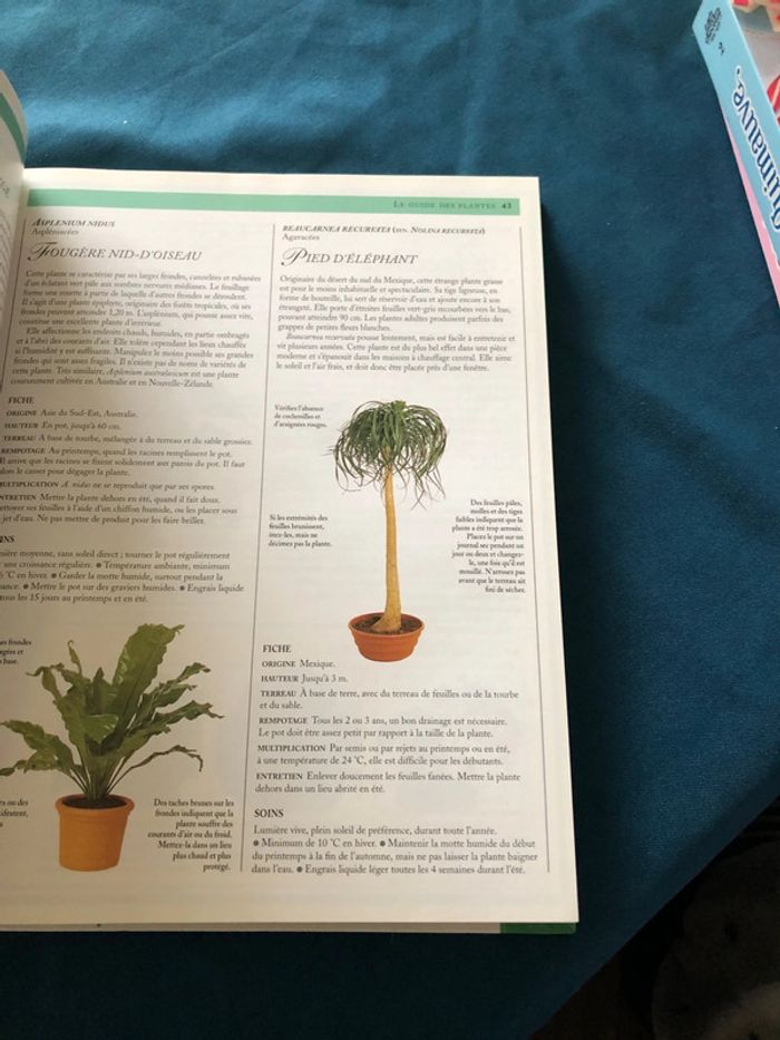 Livre Encyclopédie pratique des plantes d’intérieur - photo numéro 2
