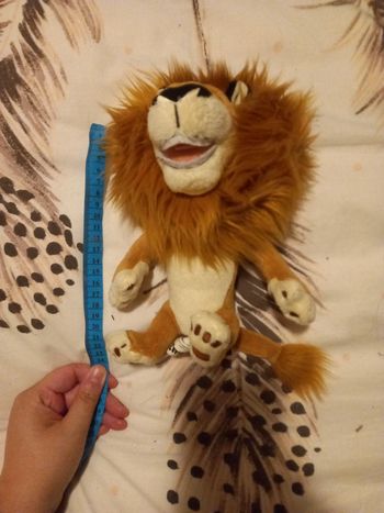 Lion de Madagascar 3