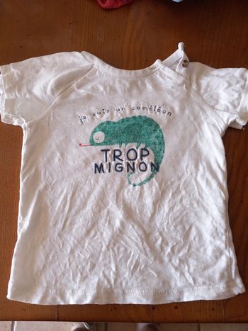 Tee-shirt 23 mois