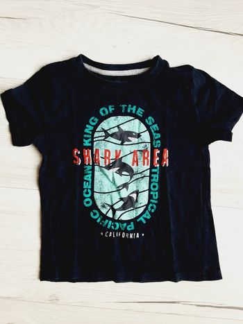 Vêtement garçon tee-shirt manches courtes requins Kiabi 4 ans